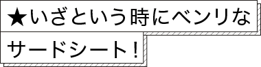 ★いざという時にベンリなサードシート！