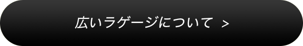 広いラゲージについて