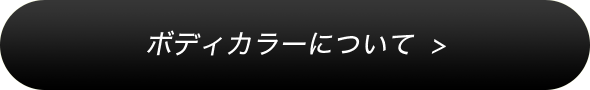 ボディカラーについて